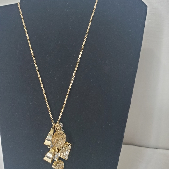 C1946 Long Gold Tone Cluster Charm Necklace - Picture 2 of 12